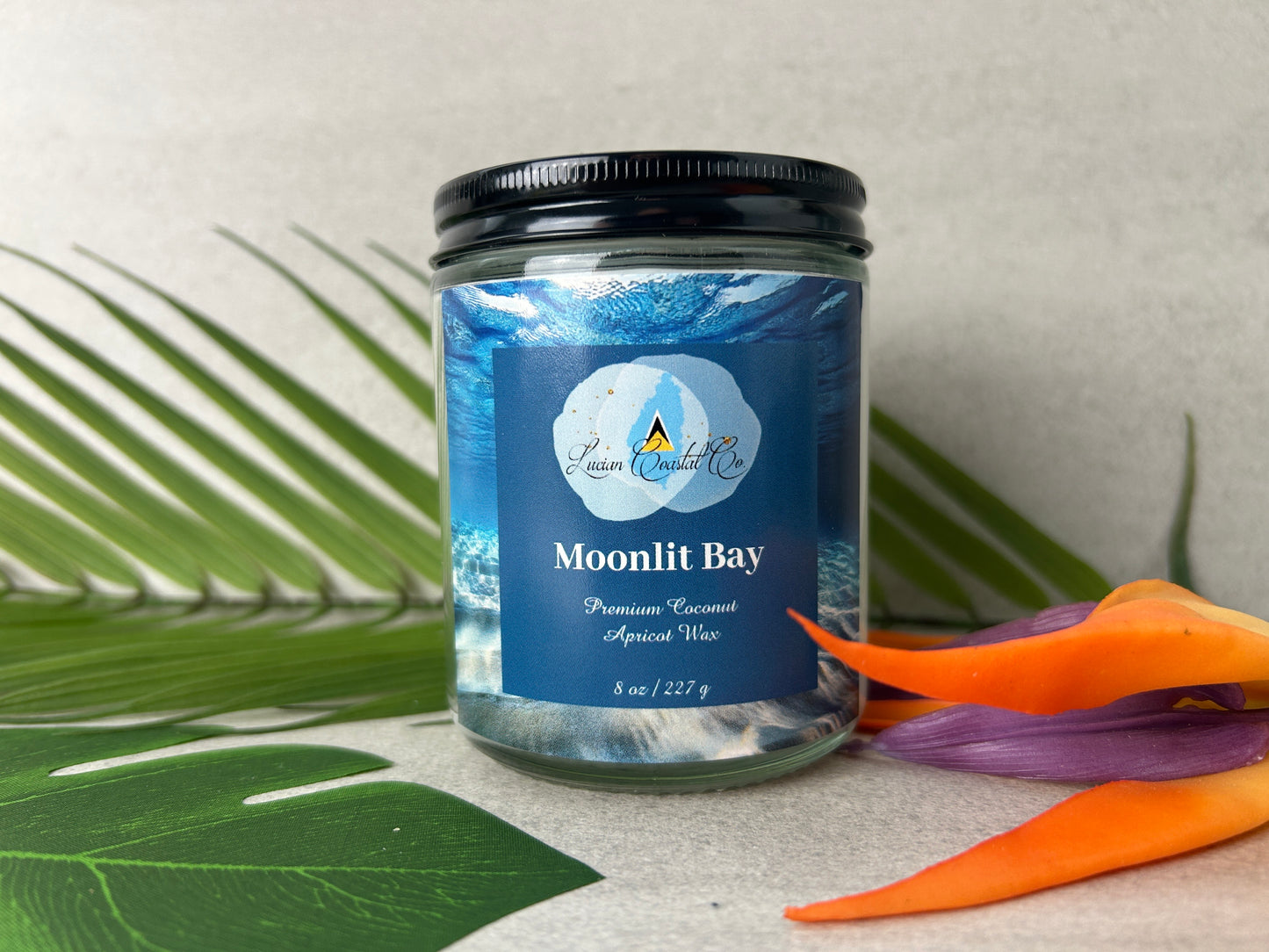 Moonlit Bay 8 OZ. Candle